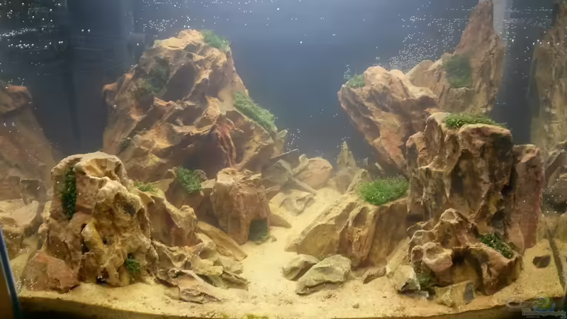 Aquarium Hauptansicht von Korallenmoos Scape von Sven-0.