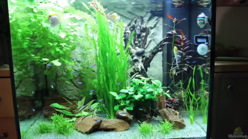 Aquarium Hauptansicht von Lido 200