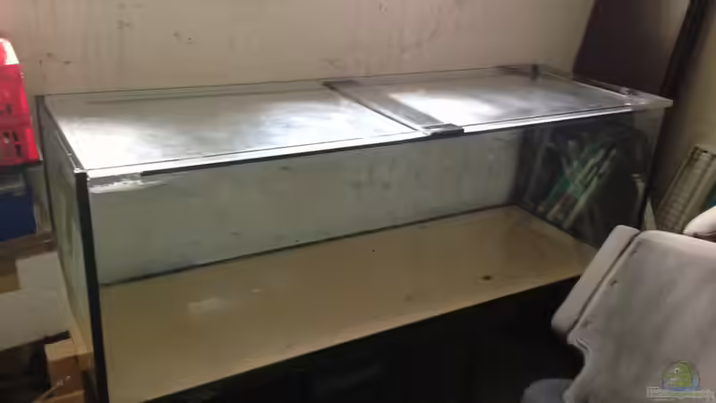 Aquarium Hauptansicht von Malawi Tank 2 von EL_LOCO (1)