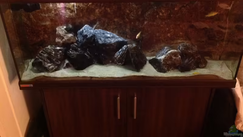 Aquarium Hauptansicht von Malawi von Aquaflo (1)