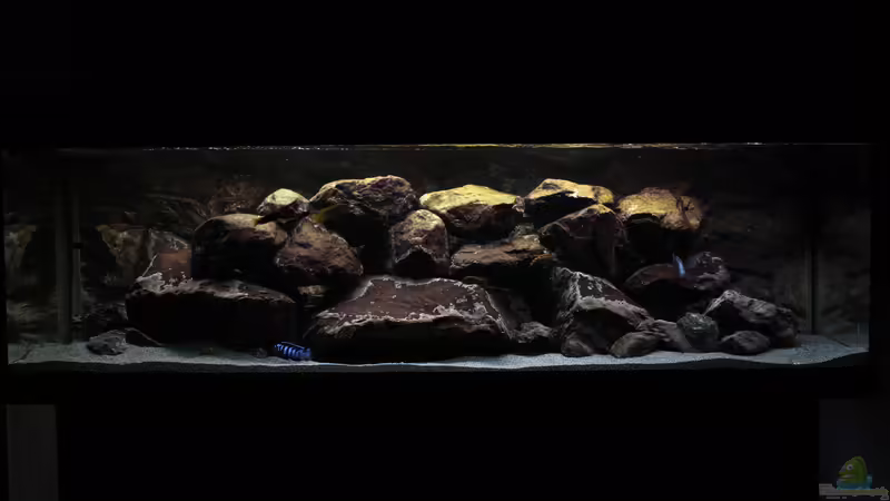 Aquarium Hauptansicht von Malawi von Labid (1)
