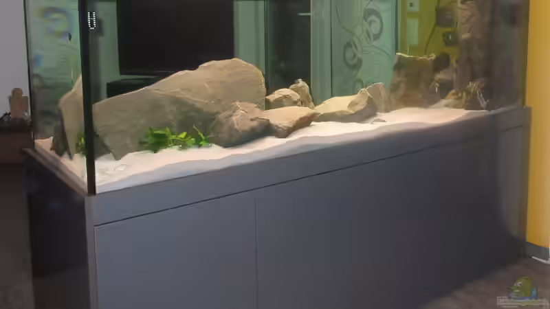 Aquarium Hauptansicht von Malawi von Ralf_Malawi (1)