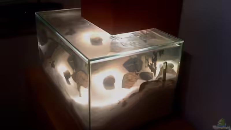 Aquarium Hauptansicht von Maola