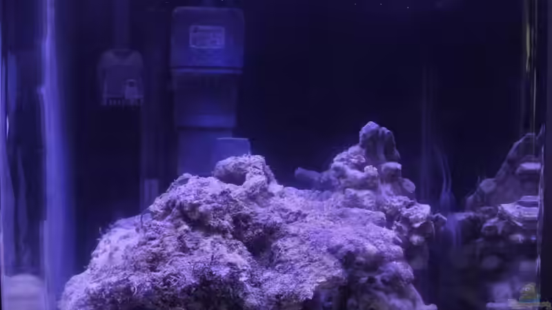 Aquarium Hauptansicht von Meerwasser Nano Cube von chrisi01 (1)
