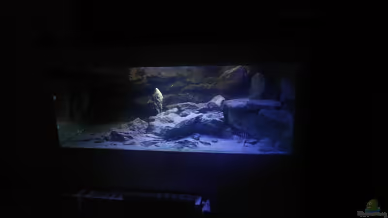 Aquarium Hauptansicht von mein drittes Becken