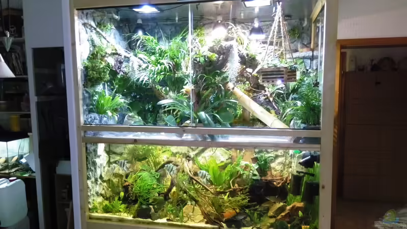 Aquarium Hauptansicht von mein erstes palludarium von M.G (1)