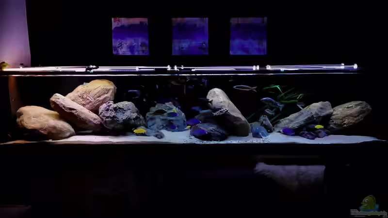 Aquarium Hauptansicht von Mein Räubertraum von RalfB (1)