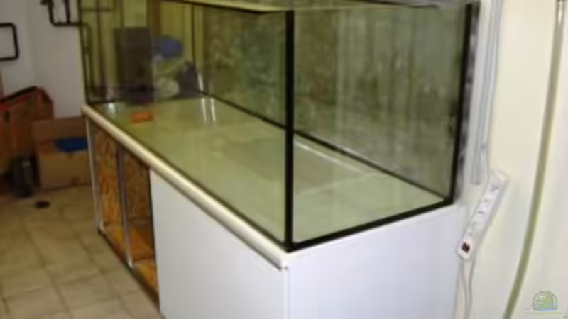 Aquarium Hauptansicht von mein traum