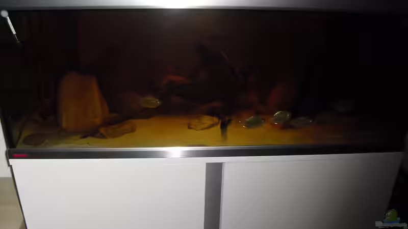 Aquarium Hauptansicht von Meine Scheiben von Dominik L (1)