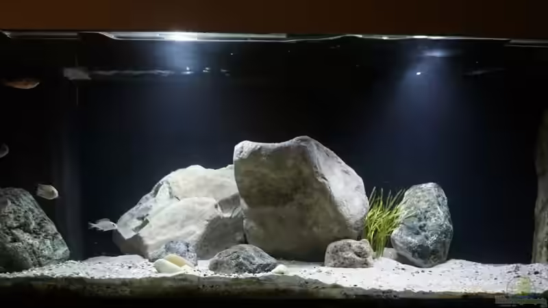 Aquarium Hauptansicht von Monkey Bay von Thomas Heinz (1)