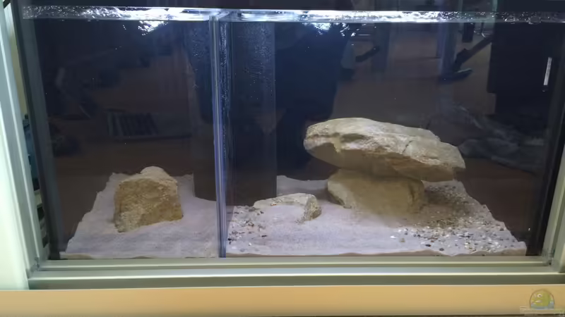 Aquarium Hauptansicht von Multi-Becken von Branjo (1)