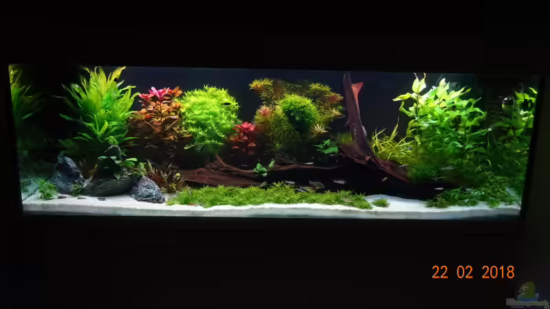 Aquarium Hauptansicht von Mystic River von Aqua-Josh (1)