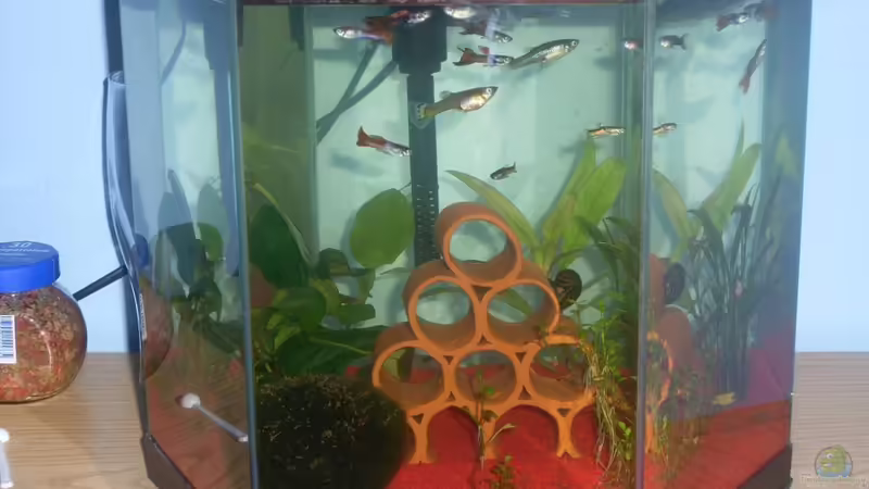 Aquarium Hauptansicht von Nano 15L von Markus Pisarek (1)