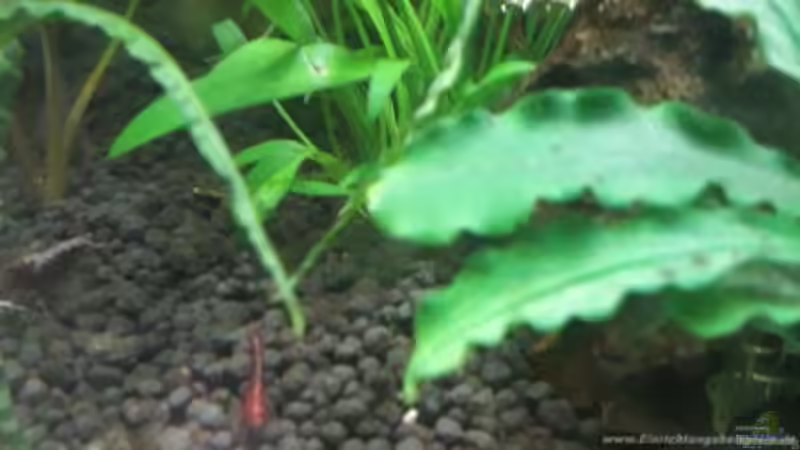 Aquarium Hauptansicht von Nano 30 von NiRo (1)