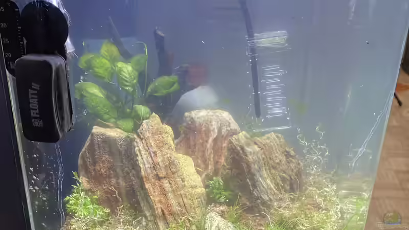 Aquarium Hauptansicht von Nano 30l von Kathys 2014 (1)