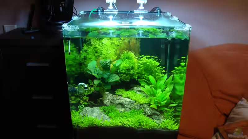Aquarium Hauptansicht von Nano Cube 60 Liter von Christoph Luz (1)
