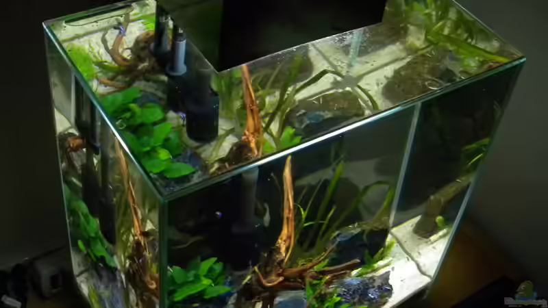 Aquarium Hauptansicht von Nano Fluval Edge II