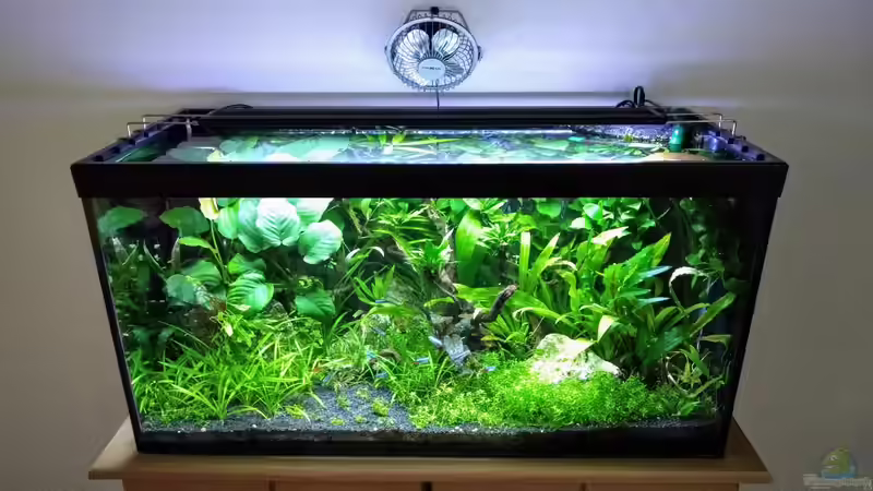 Aquarium Hauptansicht von NanoOase von Mike Steidl (1)