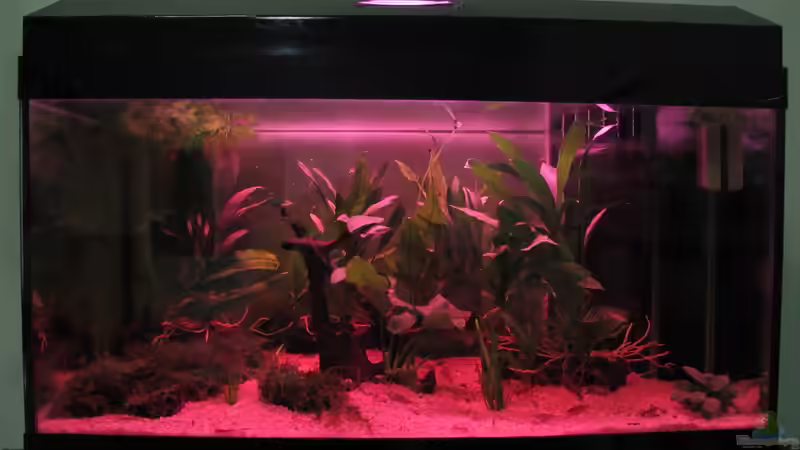 Aquarium Hauptansicht von Naturbiotop Thailand von Thomas Ihle (1)