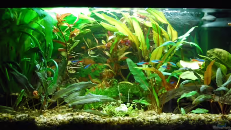 Aquarium Hauptansicht von Neonpower XD