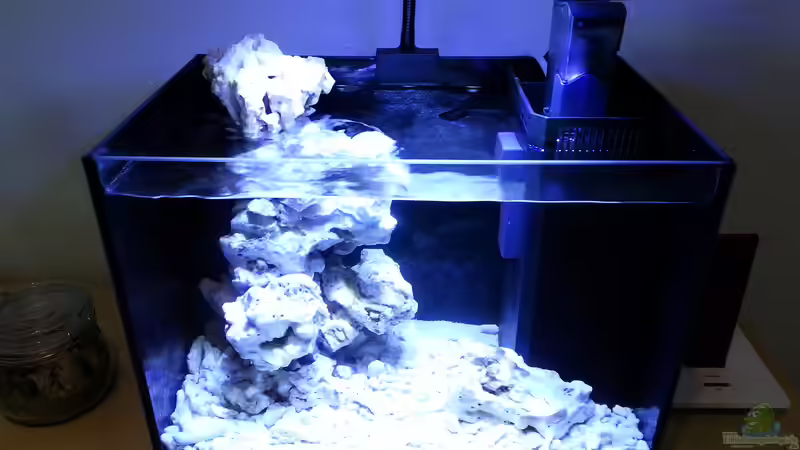 Aquarium Hauptansicht von neues Projekt...Nano Reef