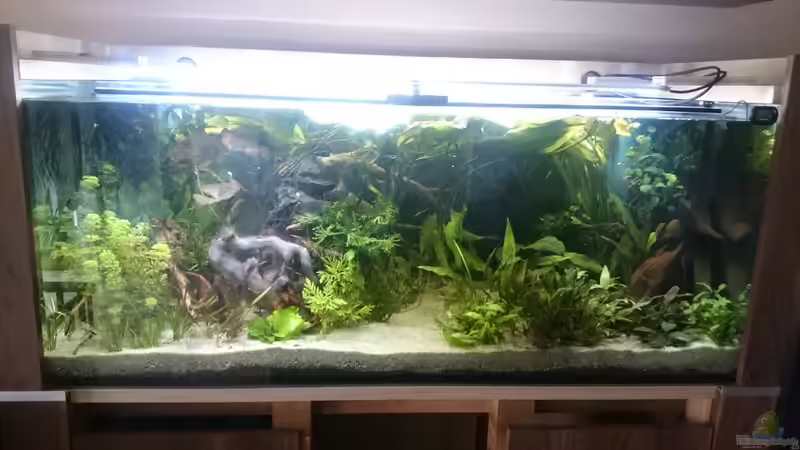 Aquarium Hauptansicht von Noch ohne Name und Noch nicht fertig ;) von GonZo (1)