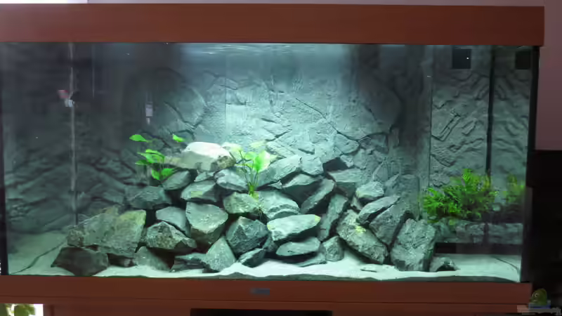 Aquarium Hauptansicht von Nürnberg-Malawi