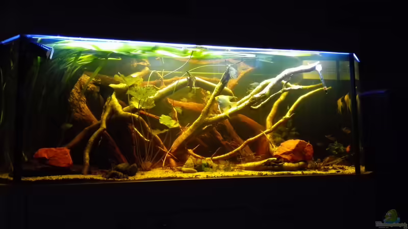 Aquarium Hauptansicht von Oldschool Panorama von Enrico Friedrich (1)
