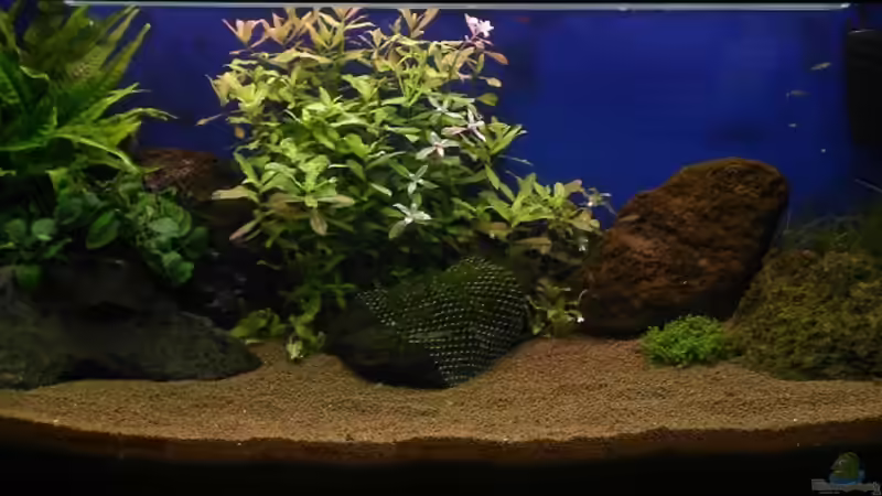 Aquarium Hauptansicht von OPEN WORLD ²