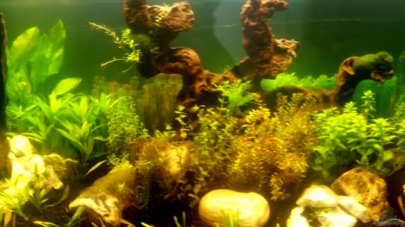 Aquarium Hauptansicht von Panorama