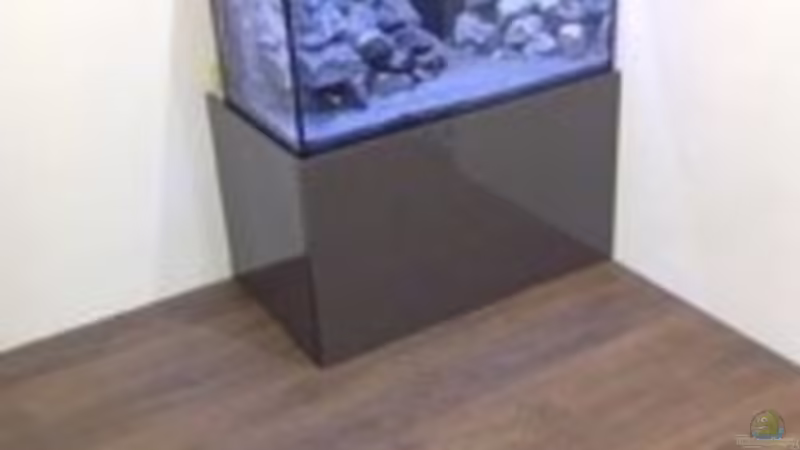 Aquarium Hauptansicht von Patrick 1st one... von Pa Mi (1)