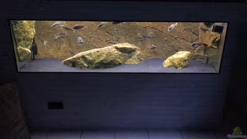 Aquarium Hauptansicht von Predators von Manni (1)