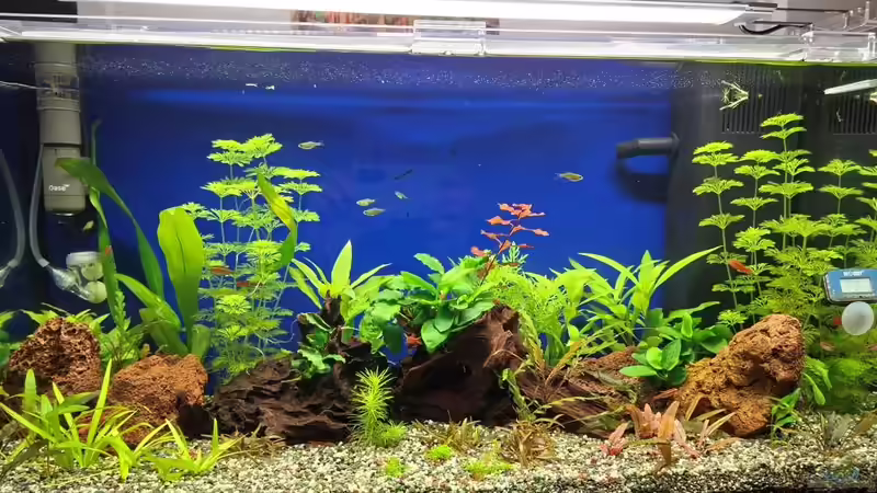 Aquarium Hauptansicht von Projekt 2025 vom Jänner 2026