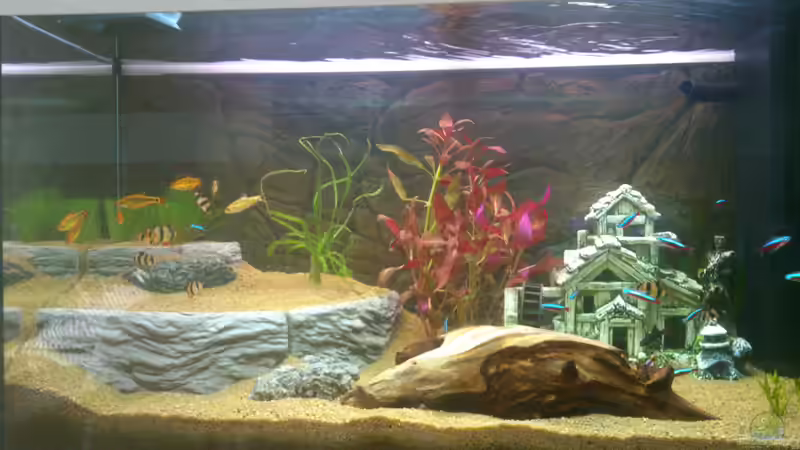 Aquarium Hauptansicht von Rio 125 von Nero (1)