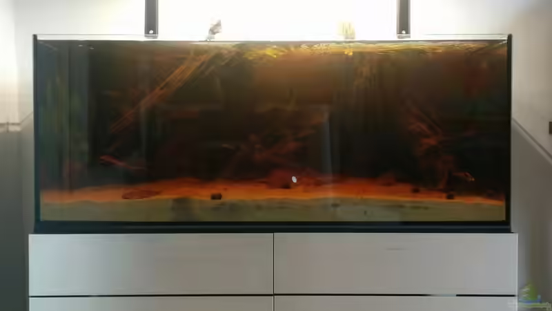 Aquarium Hauptansicht von Rio Negro Totarm von xpate (1)