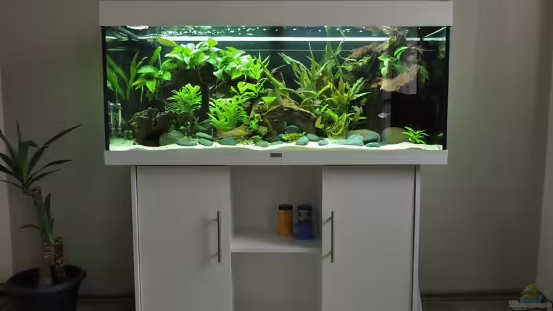 Aquarium Hauptansicht von Rio Orinoco 2