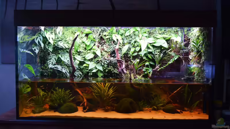 Aquarium Hauptansicht von Rivarium Aquarium Hauptansicht von Rivarium