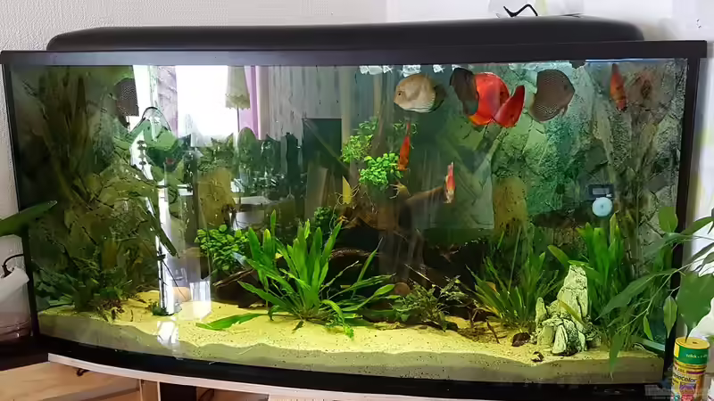 Aquarium Hauptansicht von Robert Kolovrat (1)