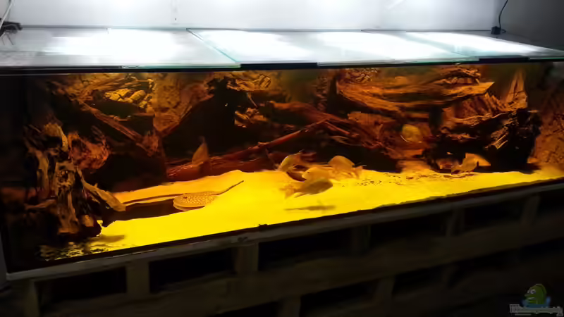 Aquarium Hauptansicht von Rochenbecken von Juergen8 (1)