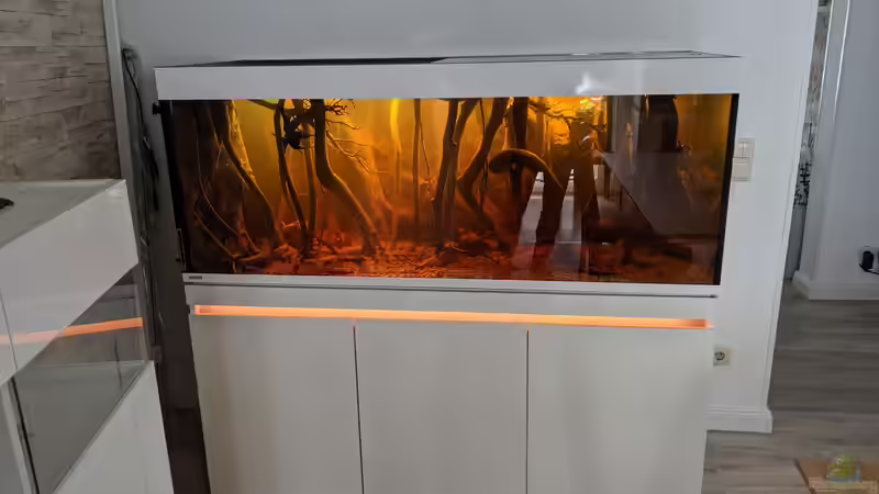 Aquarium Hauptansicht von Salmerbecken von Hedylein (1)