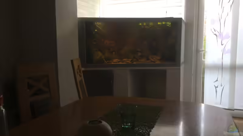 Aquarium Hauptansicht von Salmerbecken