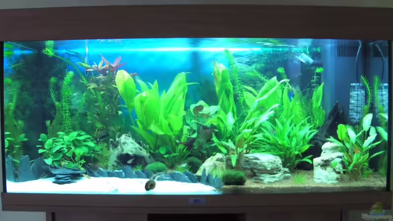 Aquarium Hauptansicht von Schnelle Übernahme