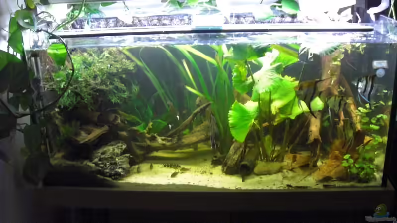 Aquarium Hauptansicht von Sebastian Ogorek (1)