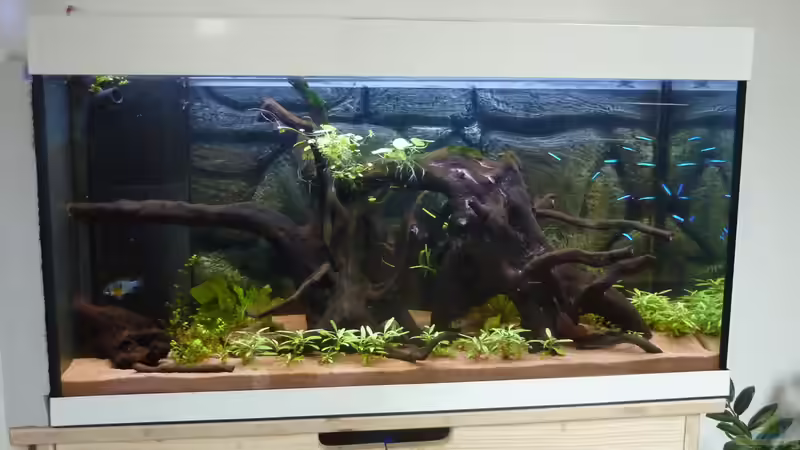 Aquarium Hauptansicht von South Amerika from South Tyrol von basSman (1)