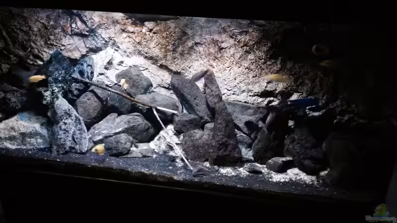 Aquarium Hauptansicht von stone bay area (closed due!!!) von der Steirer (1)