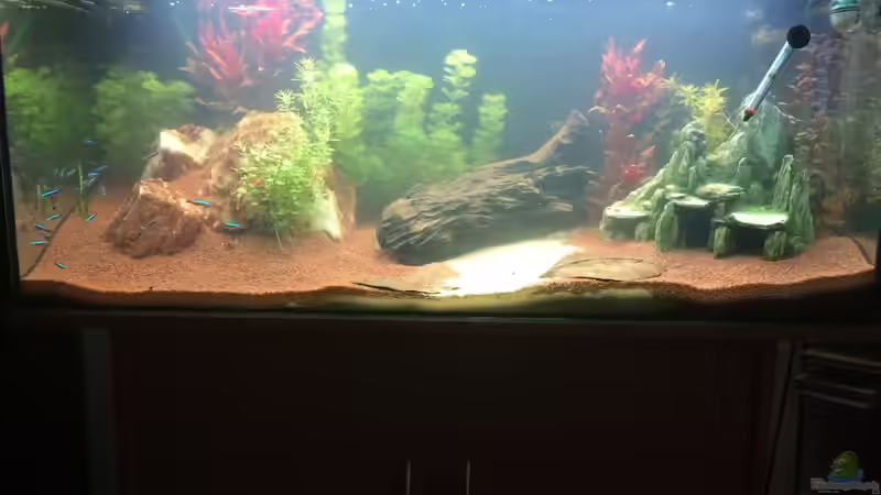 Aquarium Hauptansicht von Südamerika Aquarium von Lynx_98 (1)