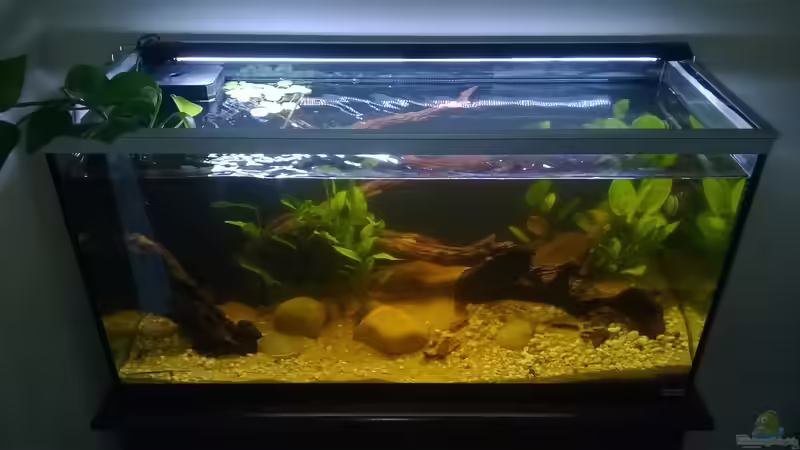Aquarium Hauptansicht von Südamerika