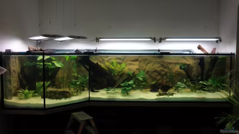 Aquarium Hauptansicht von Südtirols Amazonas