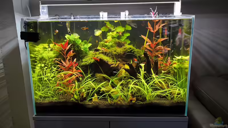 Aquarium Hauptansicht von Superfish