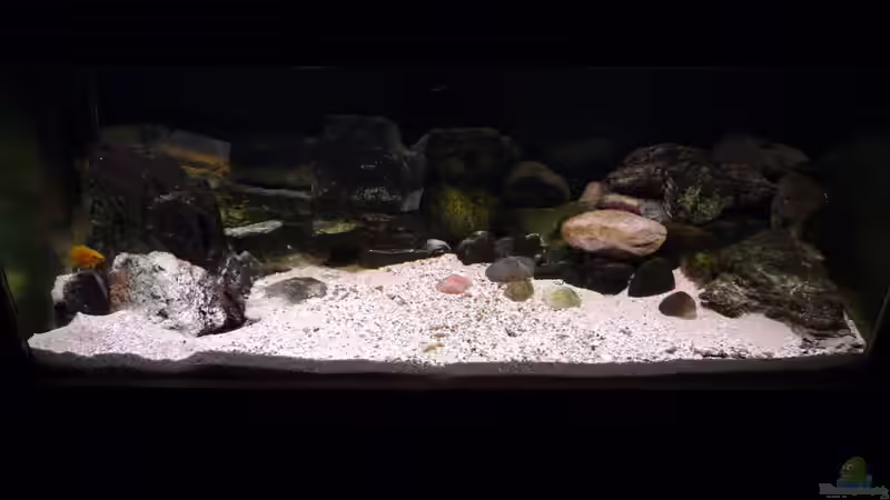 Aquarium Hauptansicht von Tanga-Arena (aufgelöst) von carkl (1)